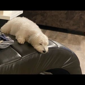 Meet your Posher, Smart